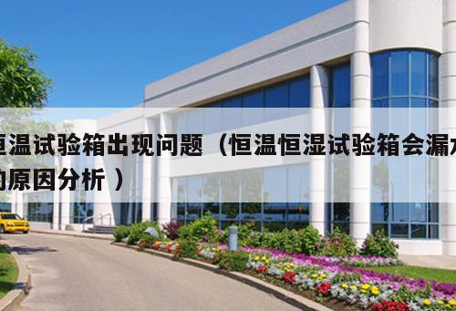 恒溫試驗箱出現(xiàn)問題（恒溫恒濕試驗箱會漏水的原因分析 ）