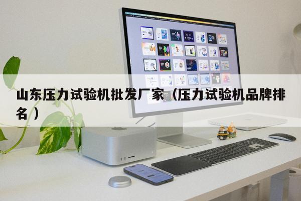 山東壓力試驗(yàn)機(jī)批發(fā)廠(chǎng)家（壓力試驗(yàn)機(jī)品牌排名 ）