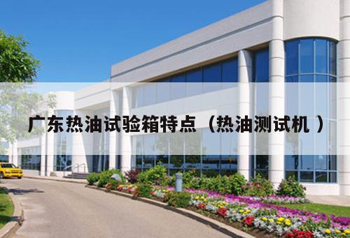 廣東熱油試驗(yàn)箱特點(diǎn)（熱油測(cè)試機(jī) ）