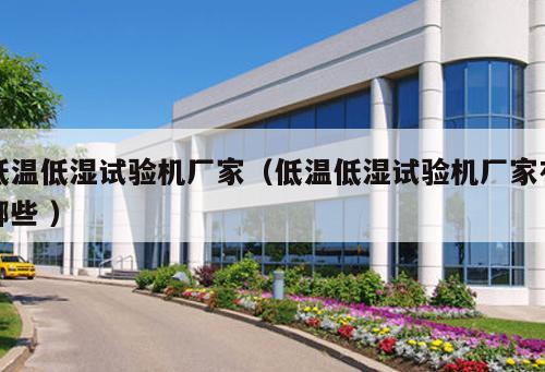 低溫低濕試驗機廠家（低溫低濕試驗機廠家有哪些 ）