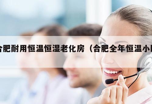 合肥耐用恒溫恒濕老化房（合肥全年恒溫小區(qū) ）