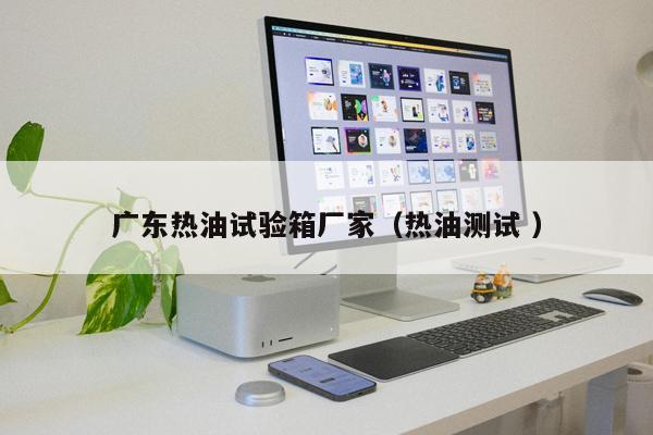 廣東熱油試驗(yàn)箱廠家（熱油測(cè)試 ）