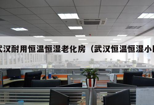 武漢耐用恒溫恒濕老化房（武漢恒溫恒濕小區(qū) ）