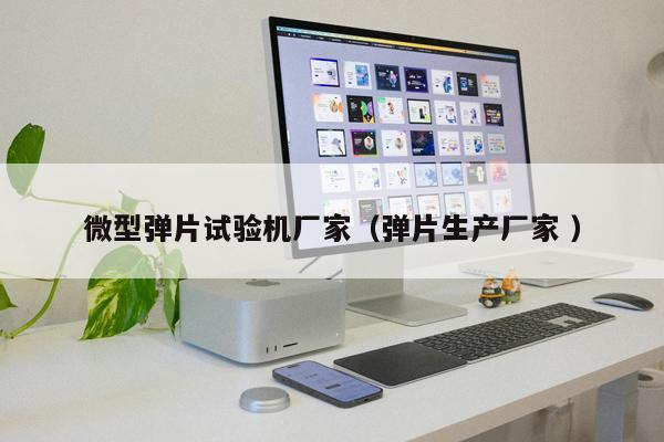 微型彈片試驗(yàn)機(jī)廠家（彈片生產(chǎn)廠家 ）