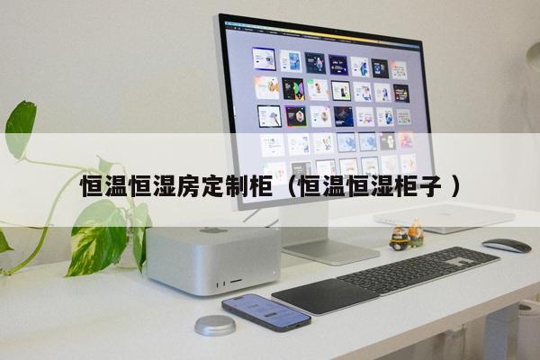 恒溫恒濕房定制柜（恒溫恒濕柜子 ）