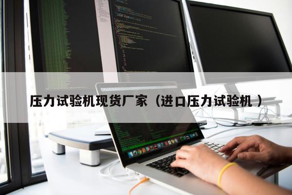 壓力試驗(yàn)機(jī)現(xiàn)貨廠家（進(jìn)口壓力試驗(yàn)機(jī) ）
