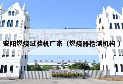 安陽燃燒試驗機廠家（燃燒器檢測機構(gòu) ）