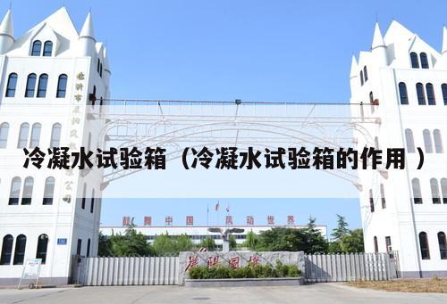 冷凝水試驗(yàn)箱（冷凝水試驗(yàn)箱的作用 ）